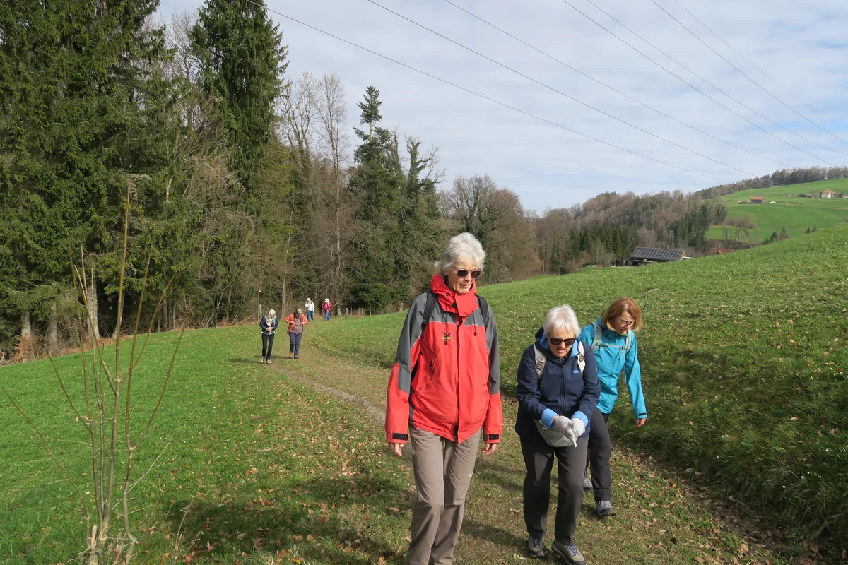 Die Seniorenwandergruppe Hittnau auf ihrer ersten Wanderung in diesem Jahr.